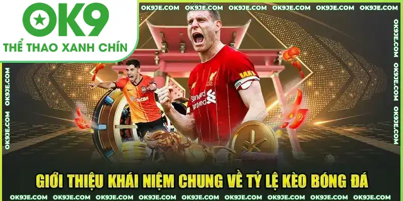 Tìm hiểu thông tin về tỷ lệ kèo bóng đá là gì? Tìm hiểu thông tin về tỷ lệ kèo bóng đá là gì?
