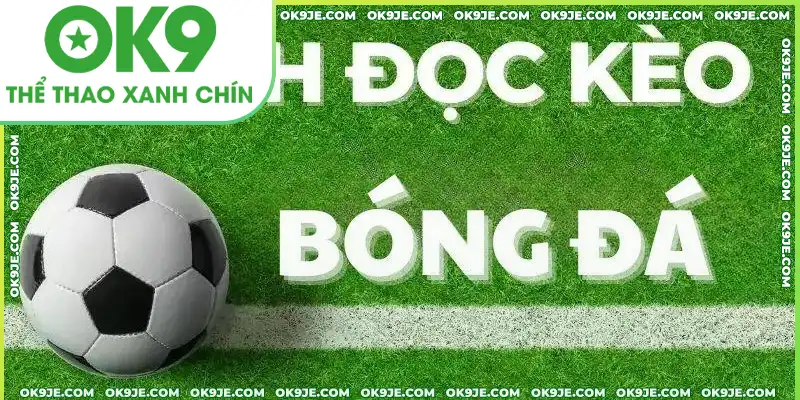 HUBET hướng dẫn cách đọc kèo tỷ lệ bóng đá HUBET hướng dẫn cách đọc kèo tỷ lệ bóng đá
